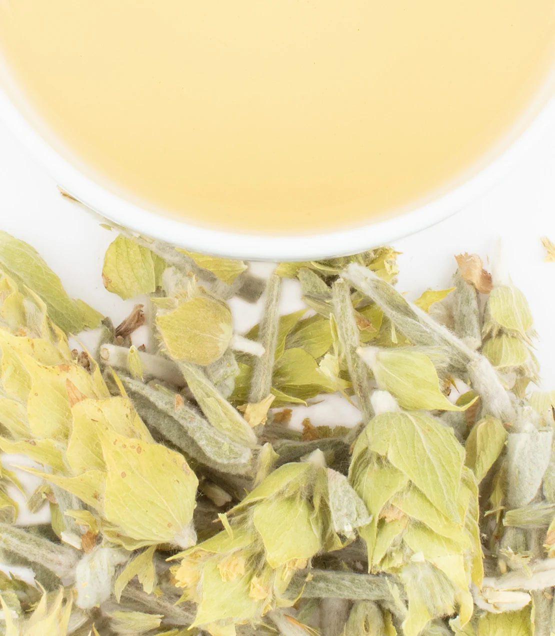 Greek Mountain Herb