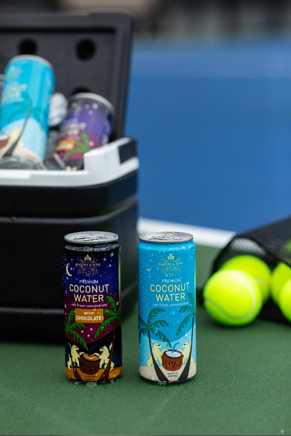 Harney & Sons Premium Coconut Water with Chocolate